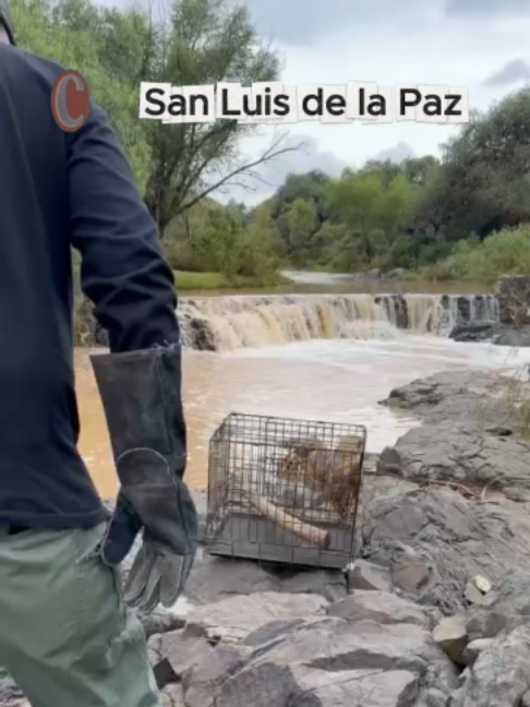 @Periódico Correo