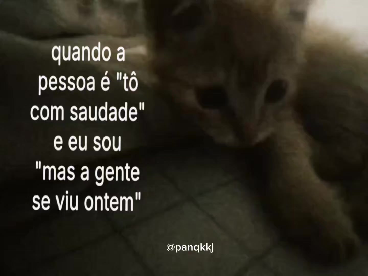 @Pɑn ⚝