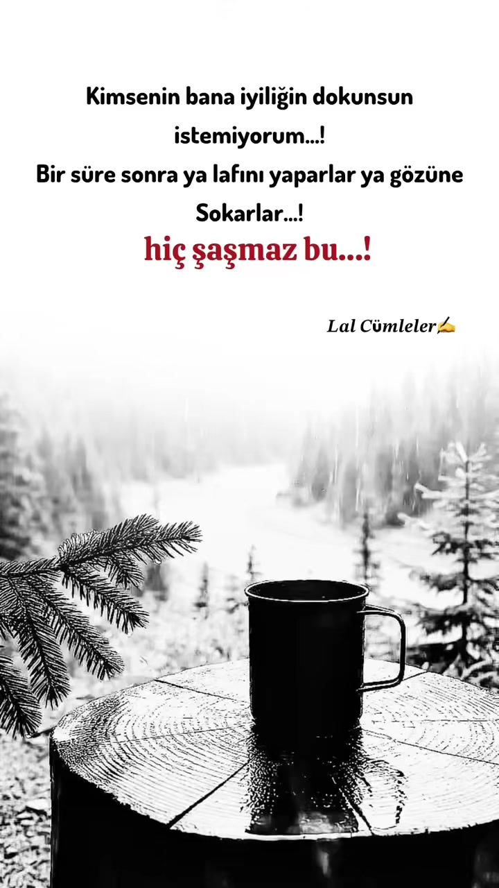 @𝑳𝒂𝒍 𝑪&uuml;𝒎𝒍𝒆𝒍𝒆𝒓✍️