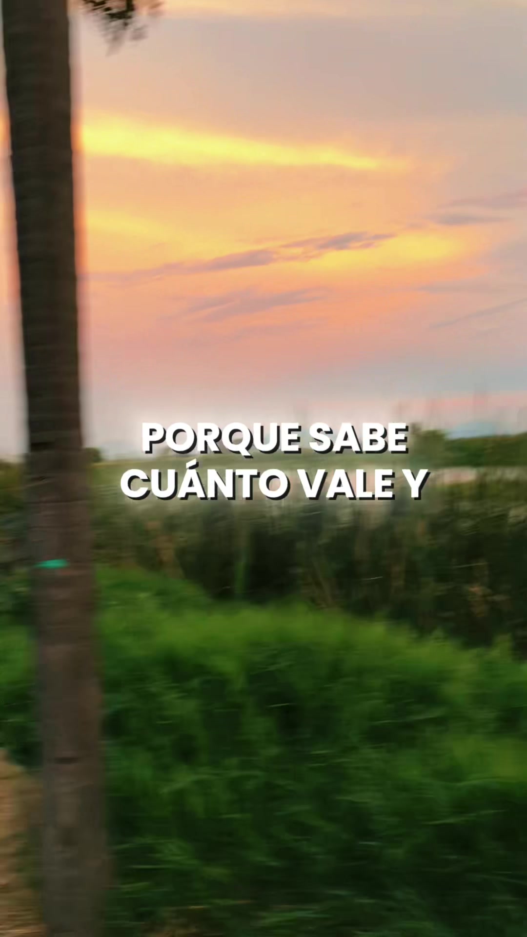 @DANY ALEX