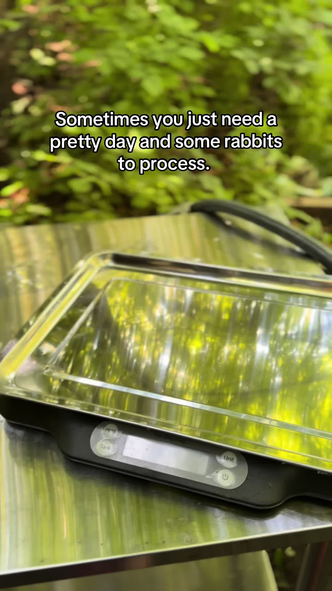 @TTS- Mystic🌻Roots🐣Homestead