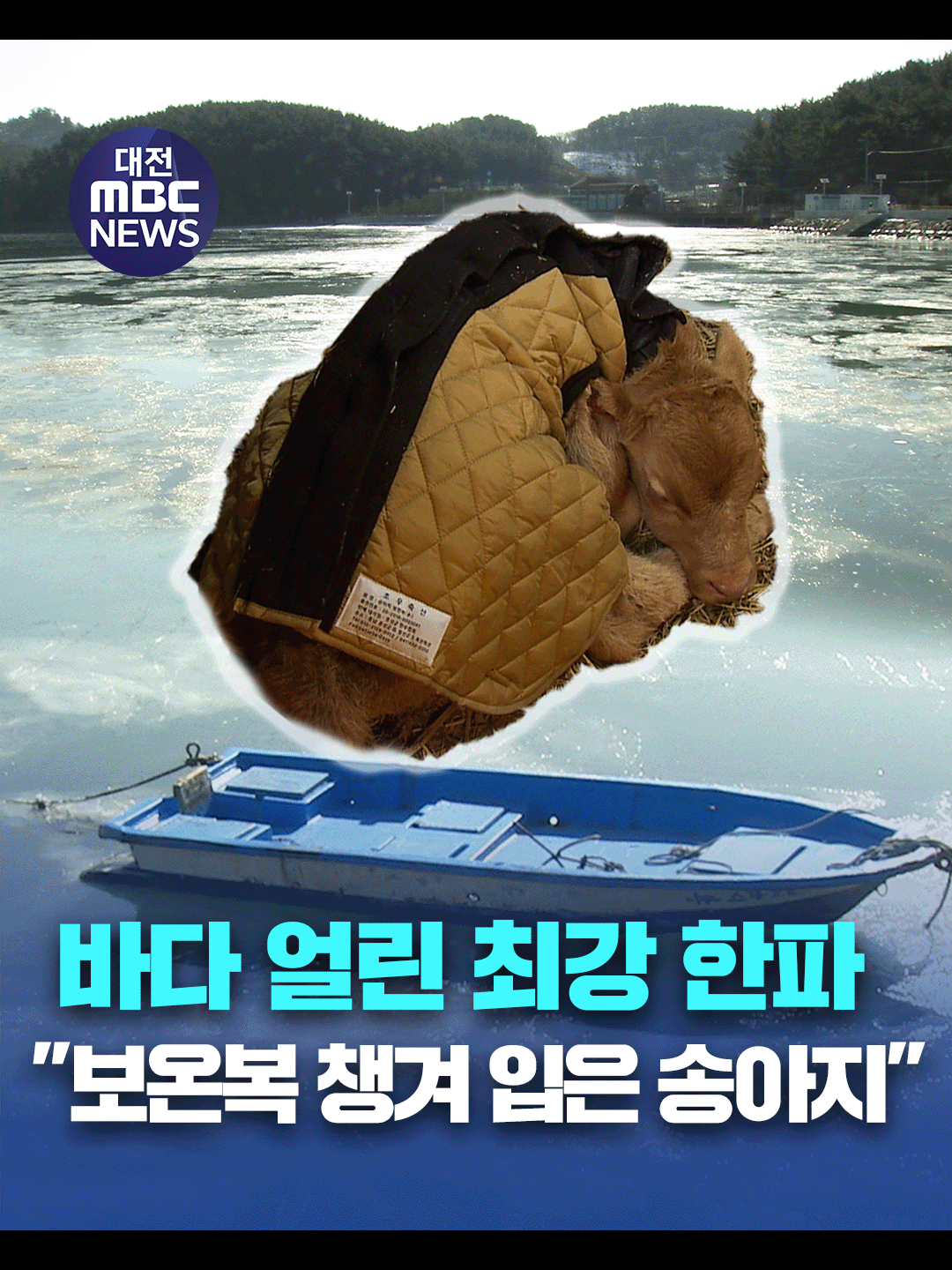@대전MBC
