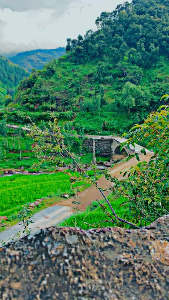 @🚩Hamad SK🎌🫴🎌
