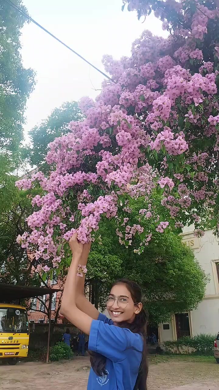 @preety sah