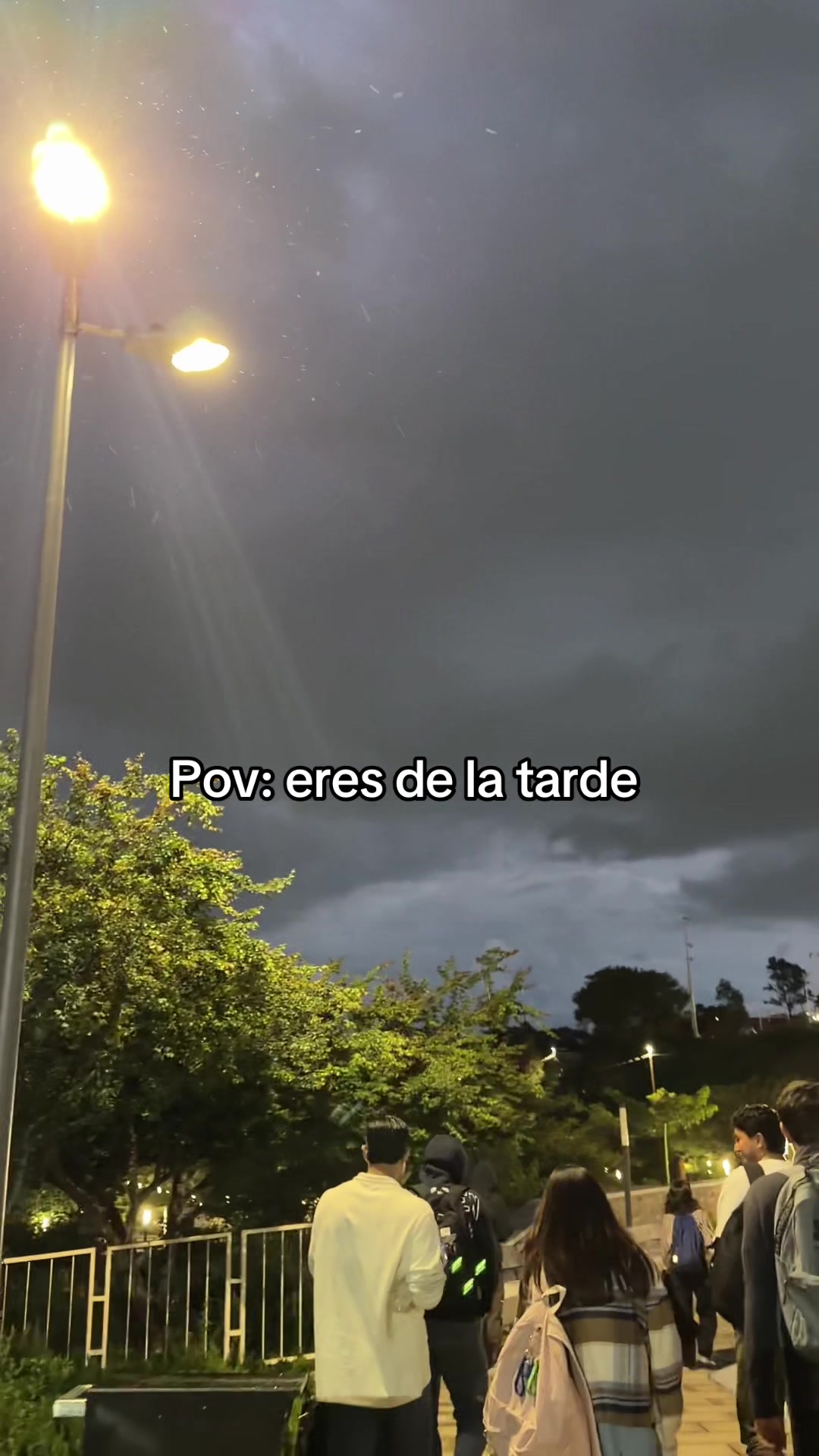 @vivi