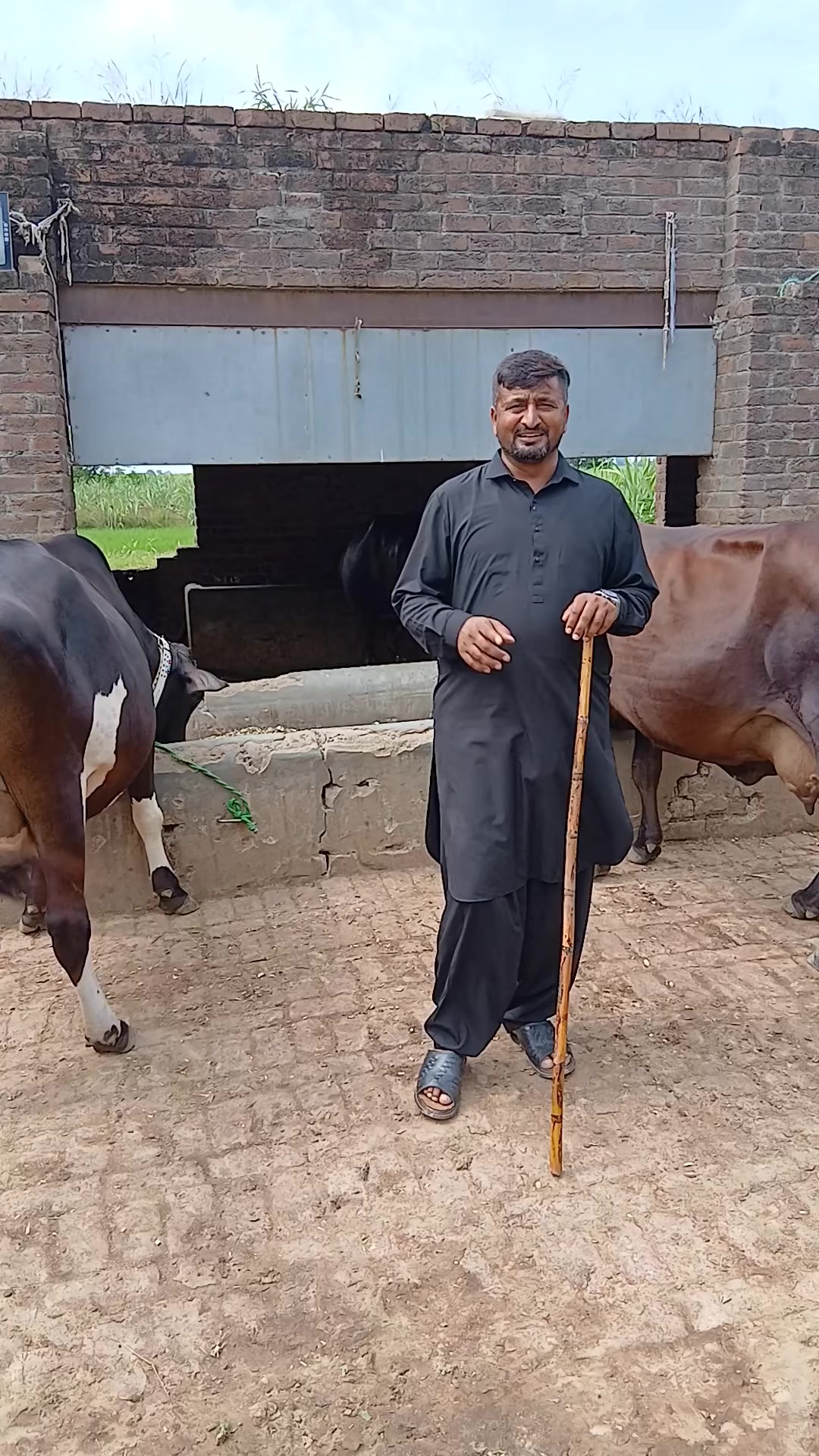 @Farming and Business Ideas