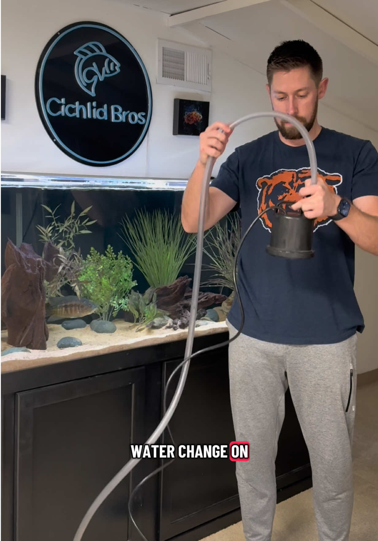 @Cichlid Bros