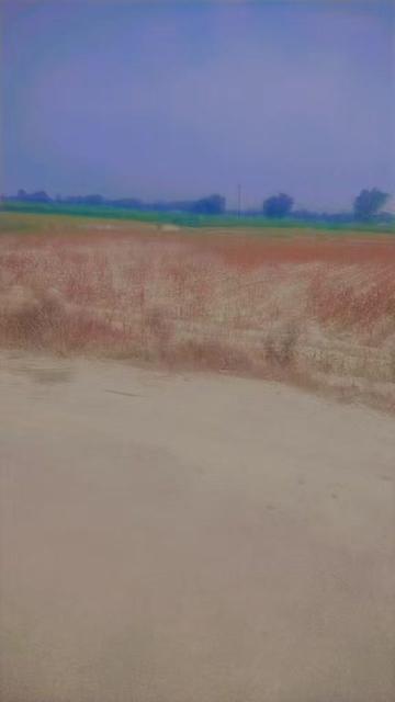 @user31882550428