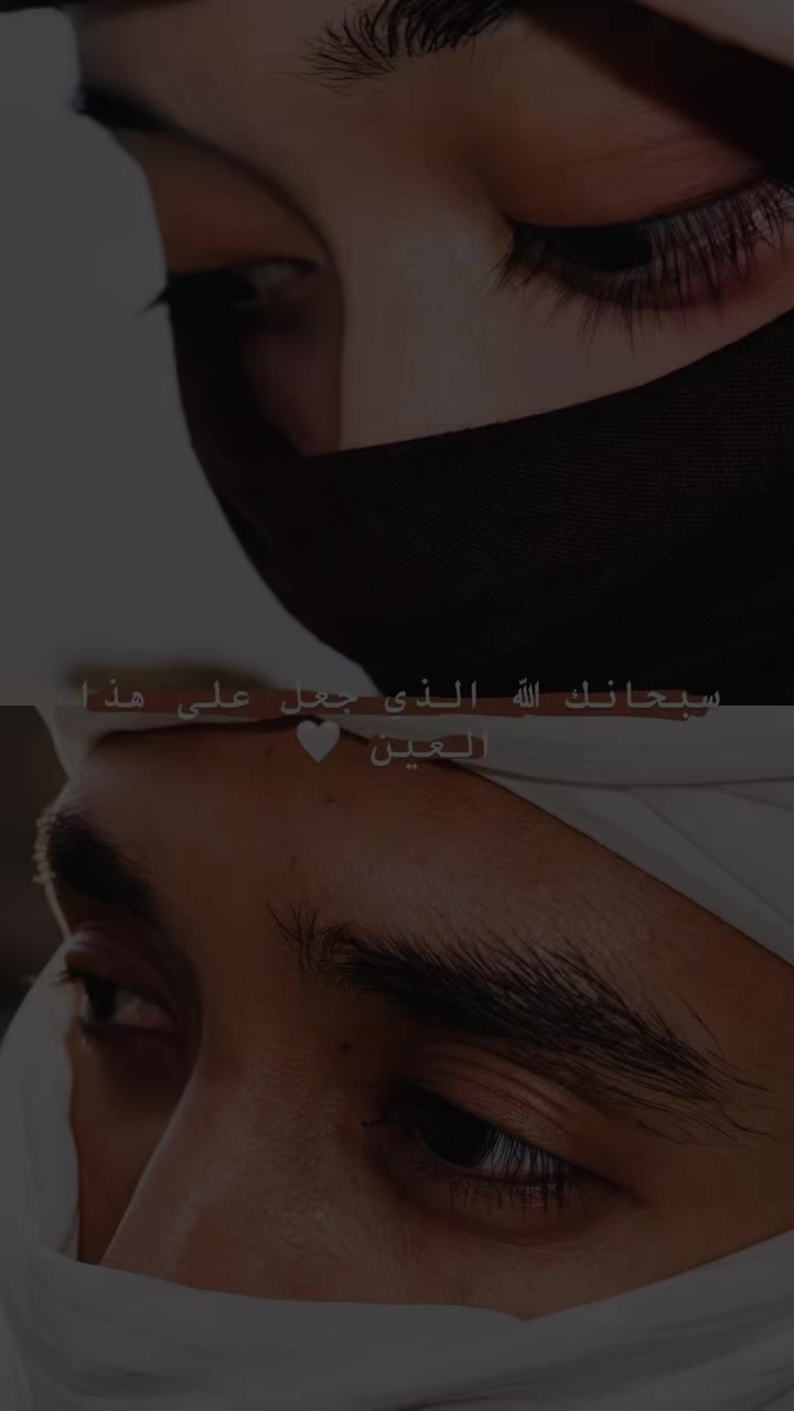 @محمد علوي