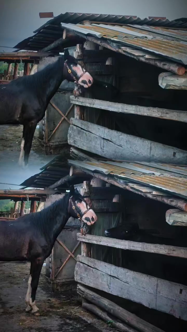 @позывной Иван