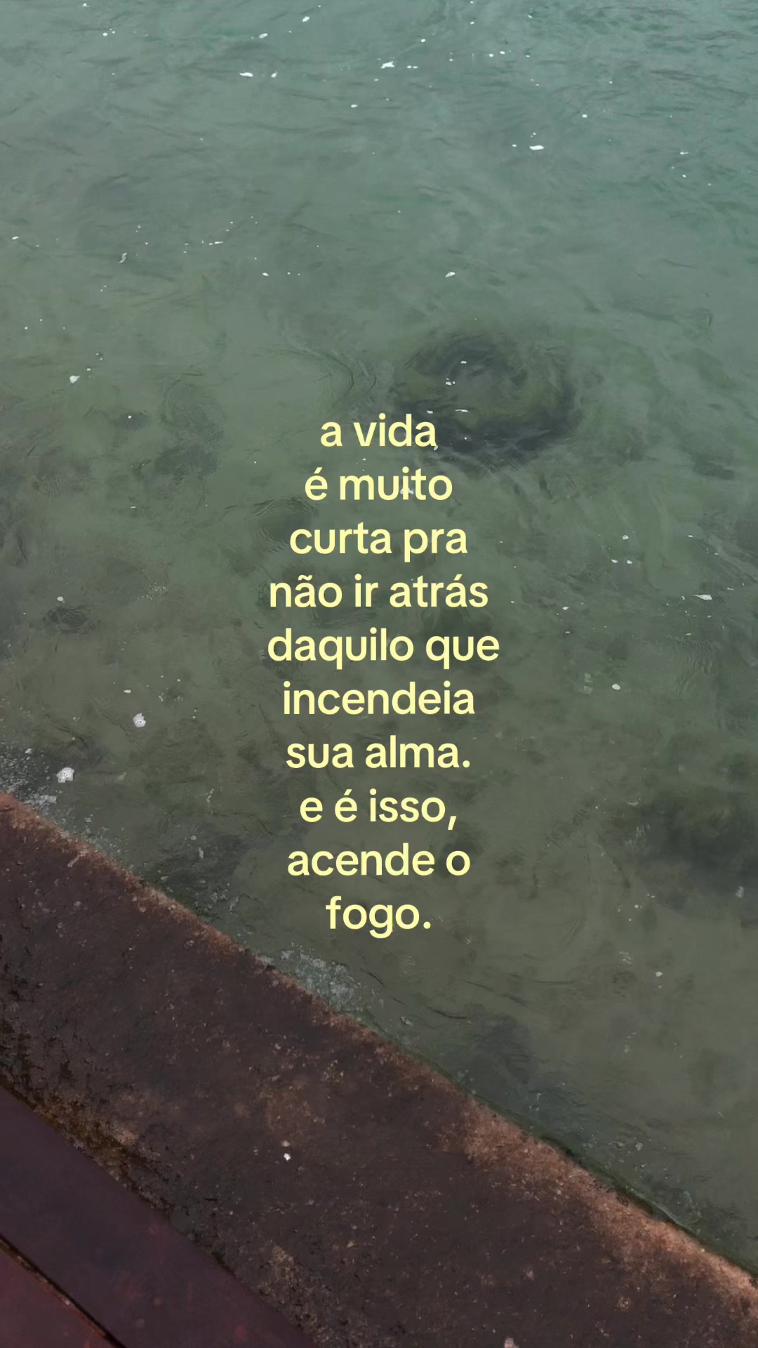 @꩜