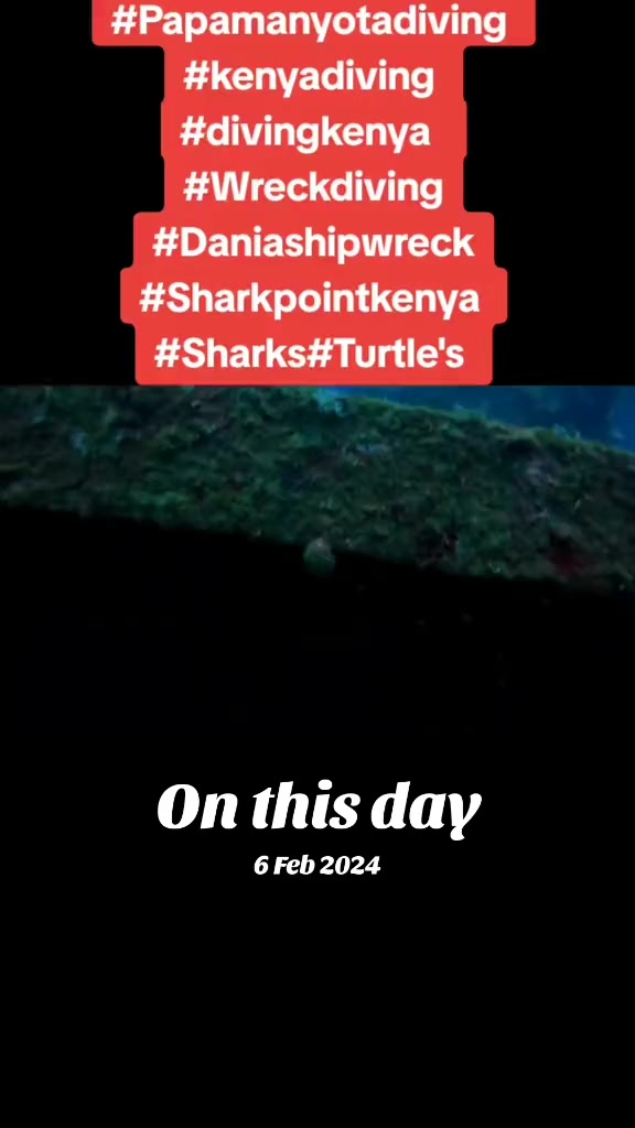@Papamanyota dive centre kenya