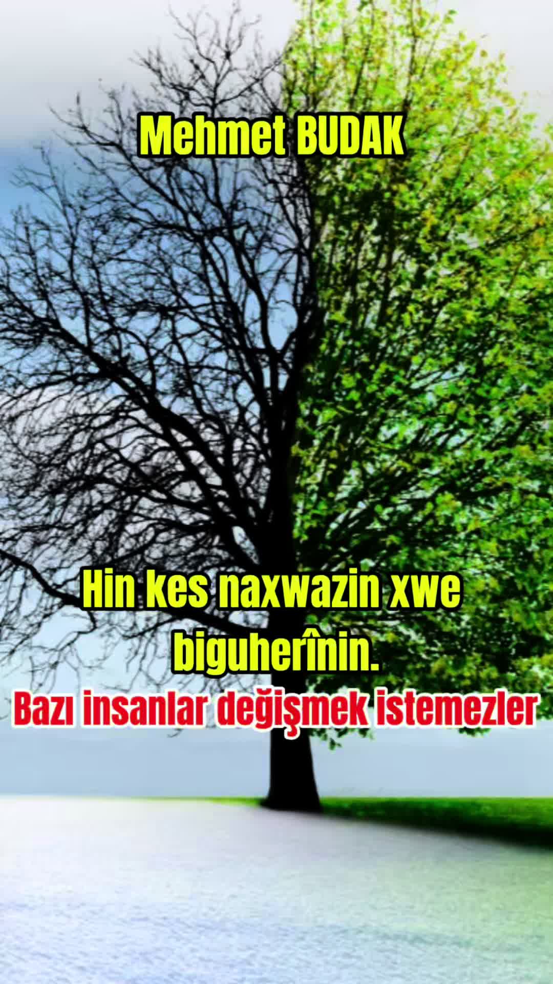 @Mehmet BUDAK