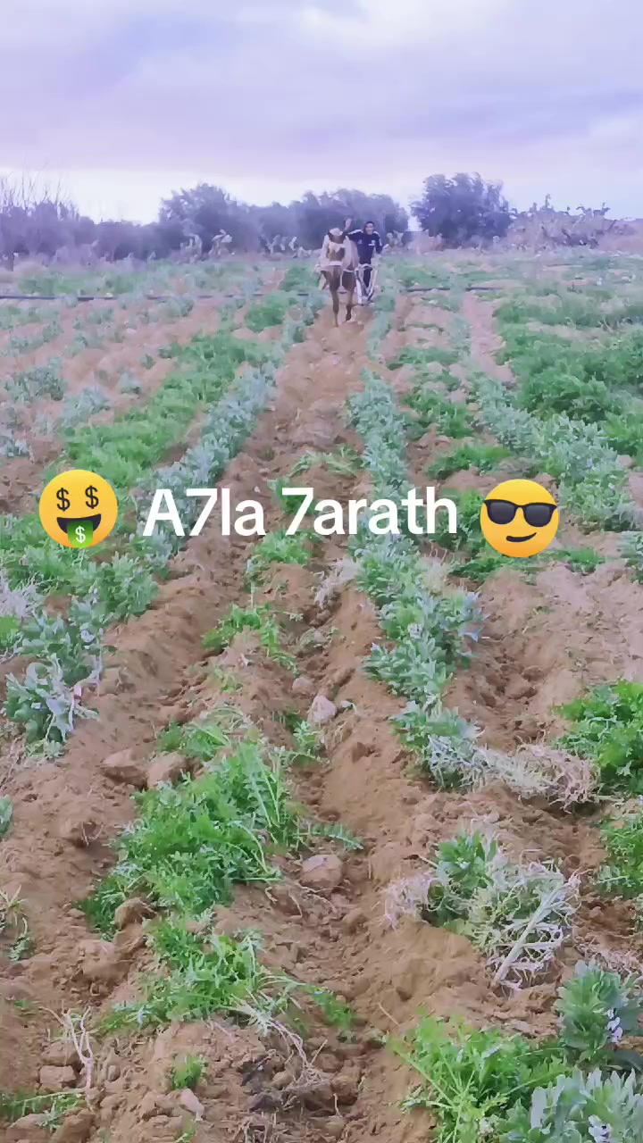 @youssefhajji