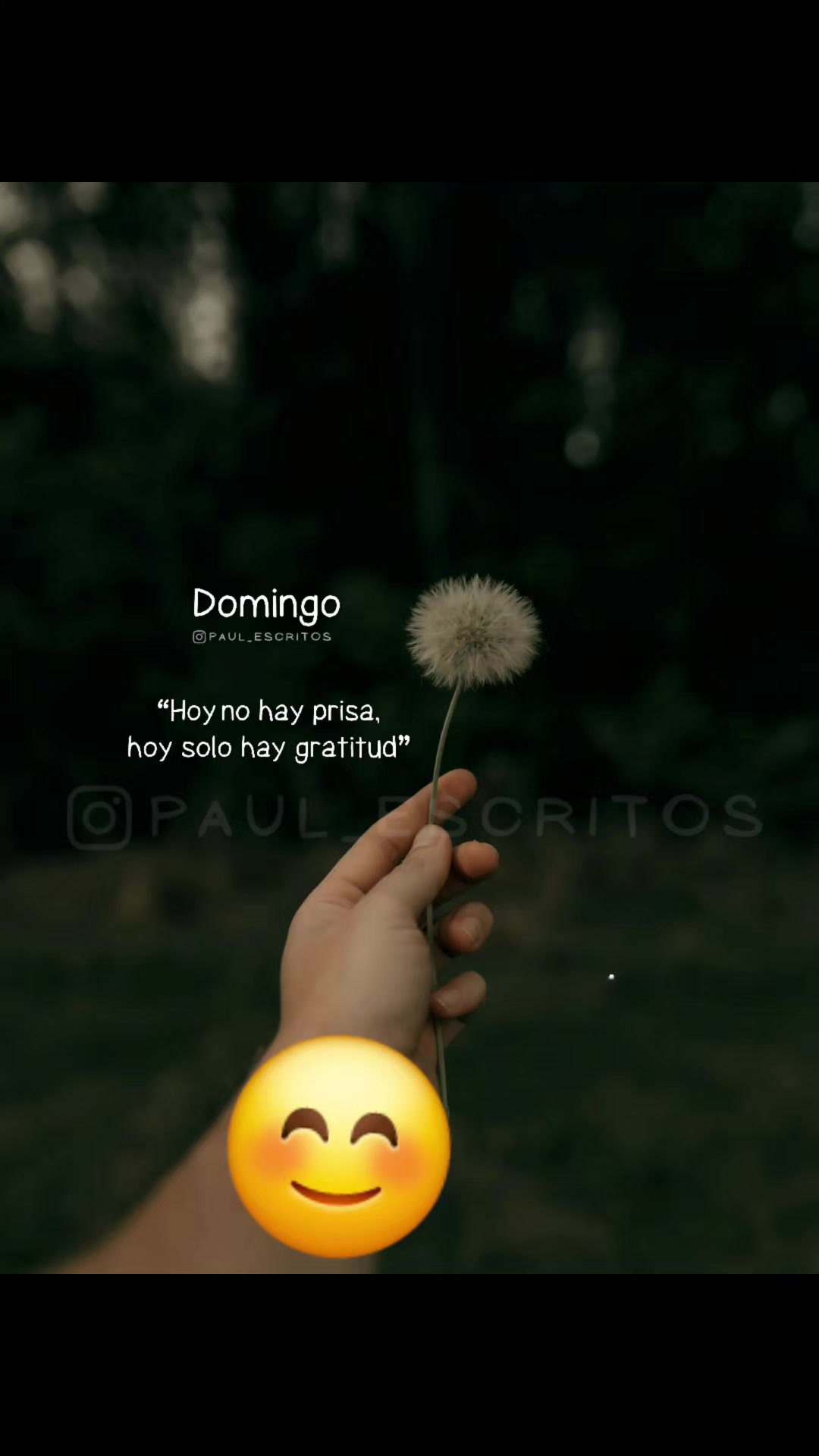 @GomezVil🦋☘️