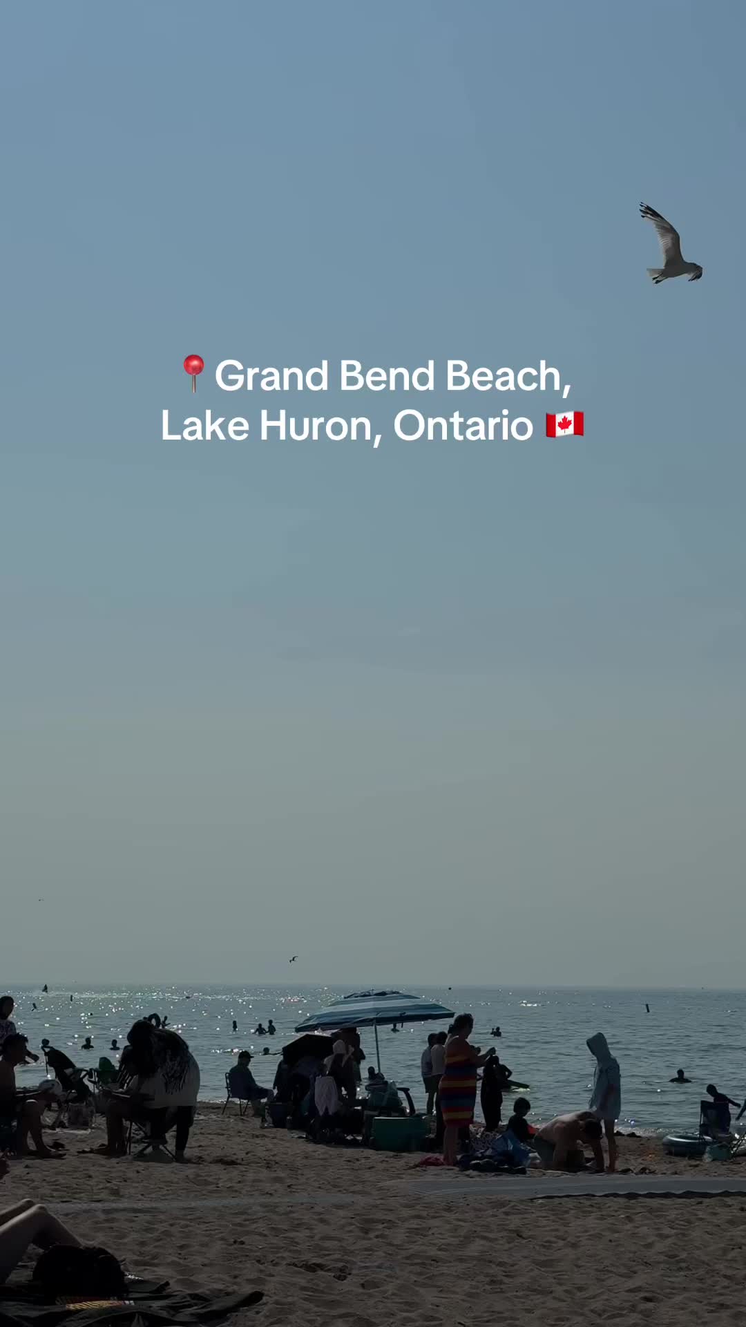 @Beach Days & Travels