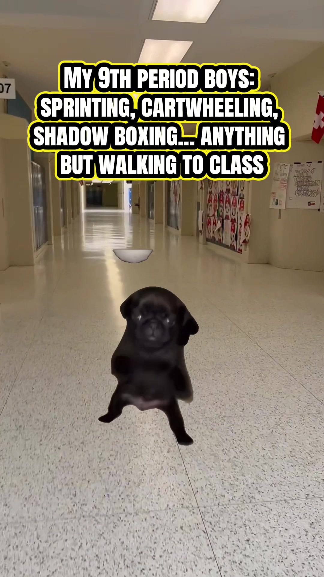 @teachertgonzalez