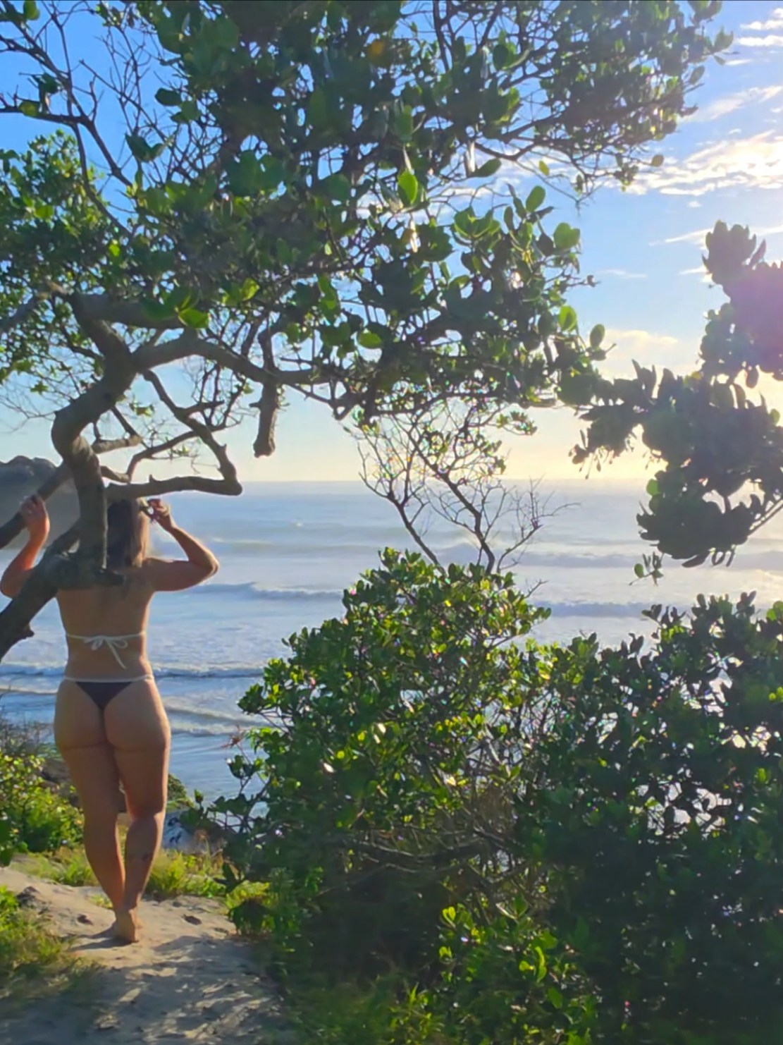 @Brazilian Adventure
