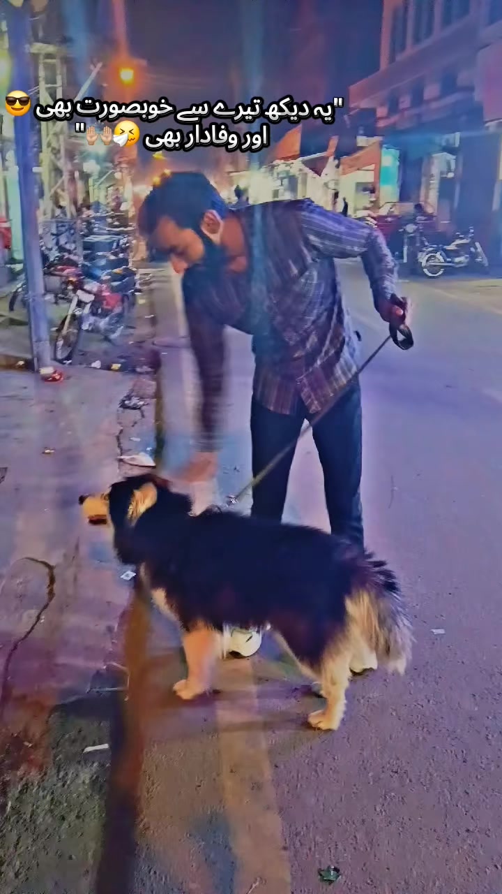 @Matlabilog