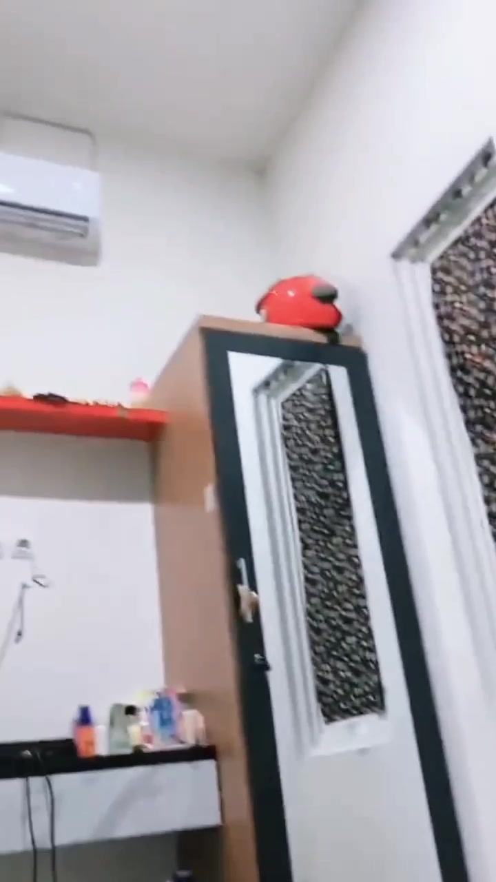 @lingkaran merah ⭕