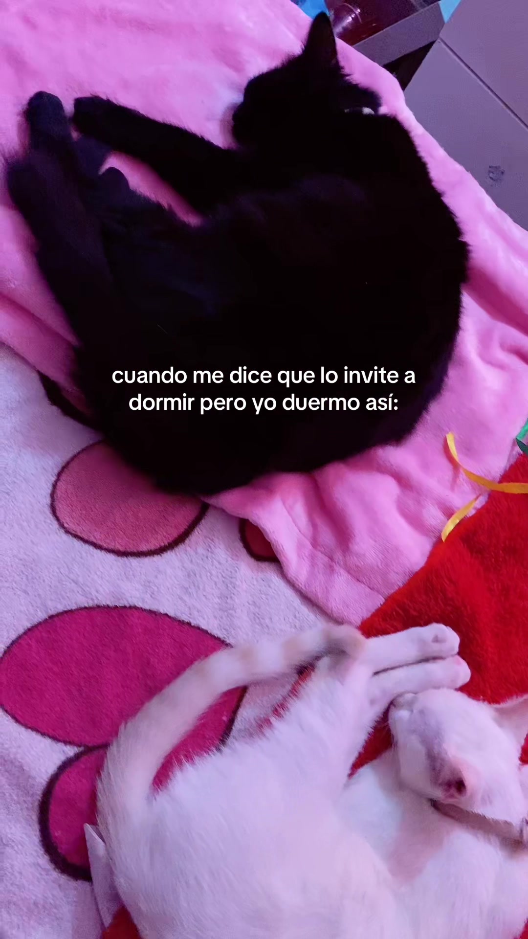 @𐚁
