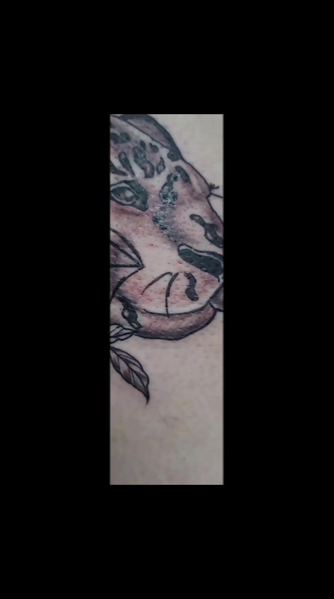 @Immortal Tattoos