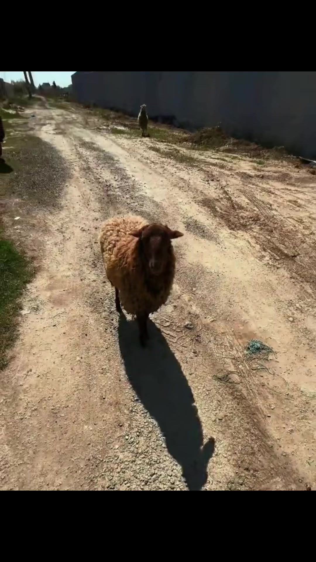 @tt__7777