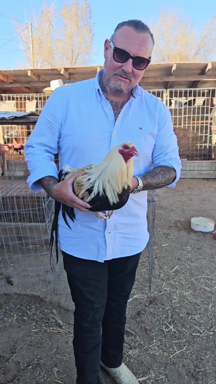 @Carol Nesmith Gamefarm