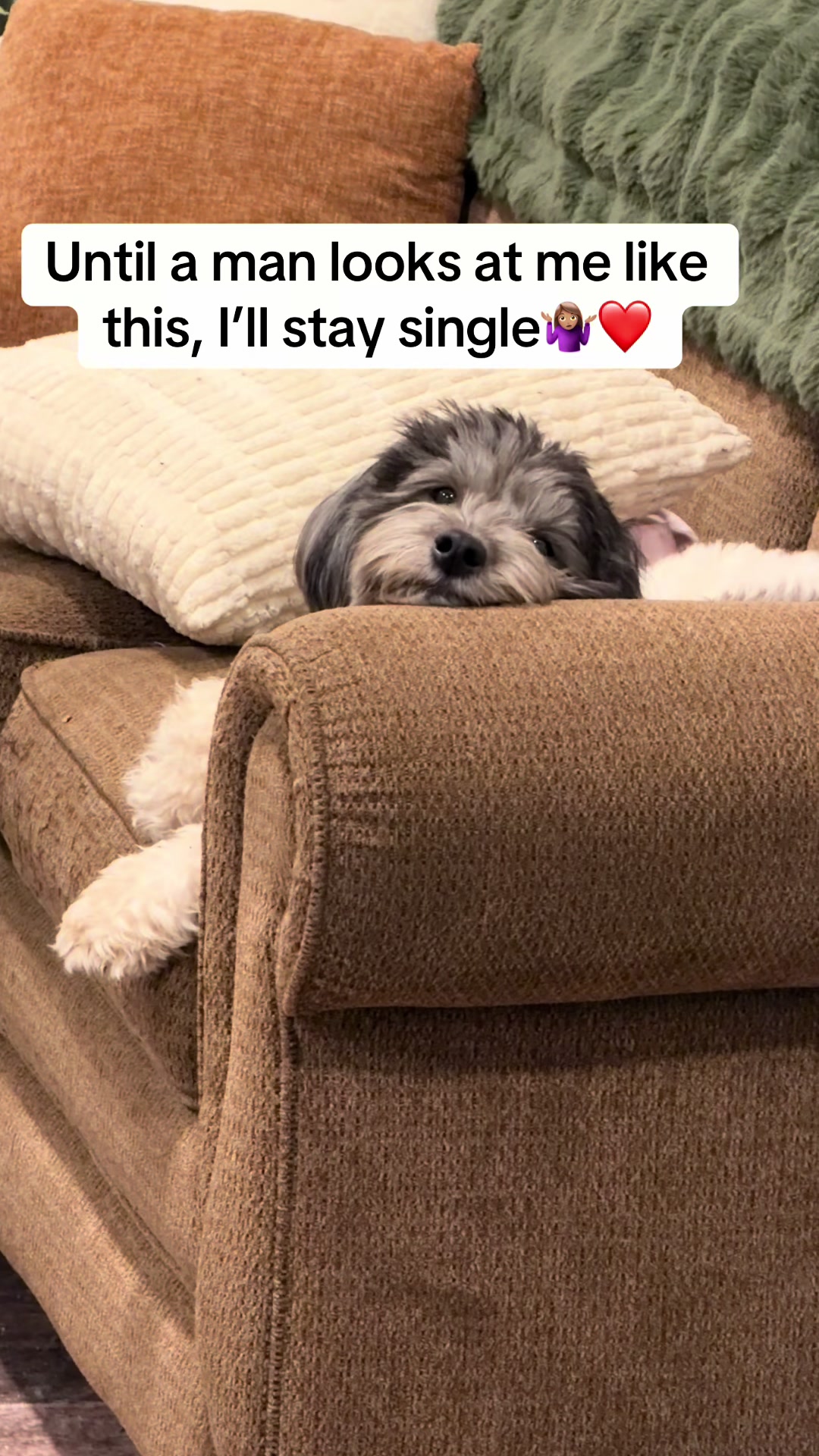 @healingwithivee