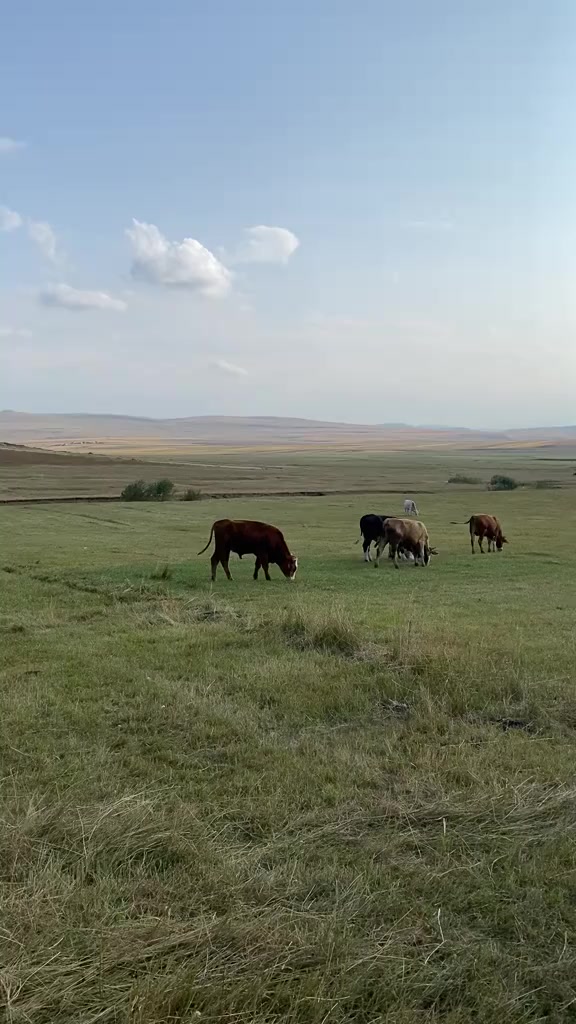 @G&uuml;ler_Yakup