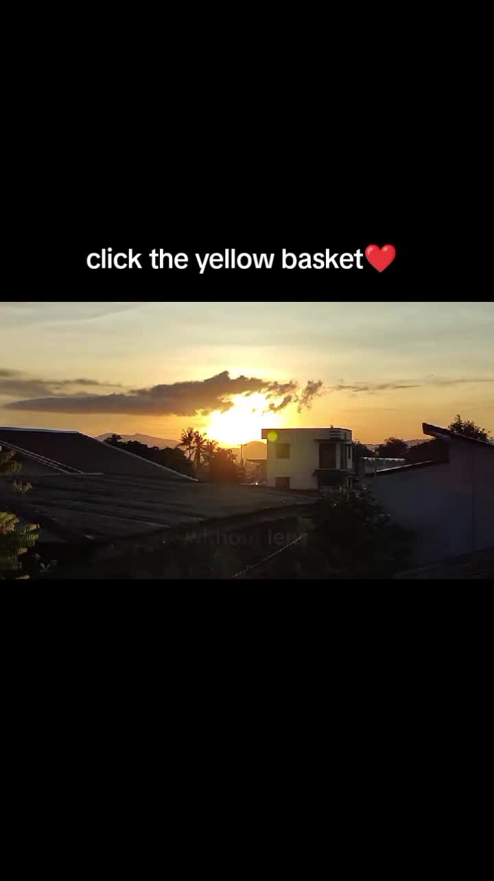 @🕷️