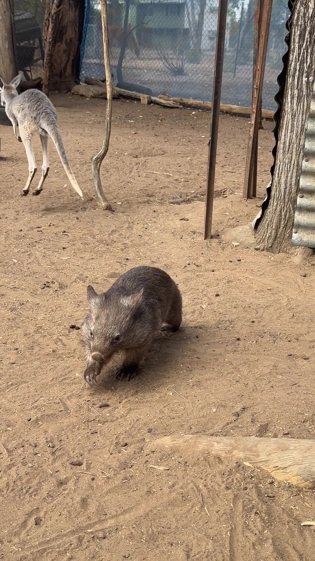 @Wildlife Empire Australia