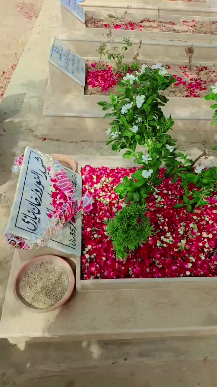 @Jamroz Niazi