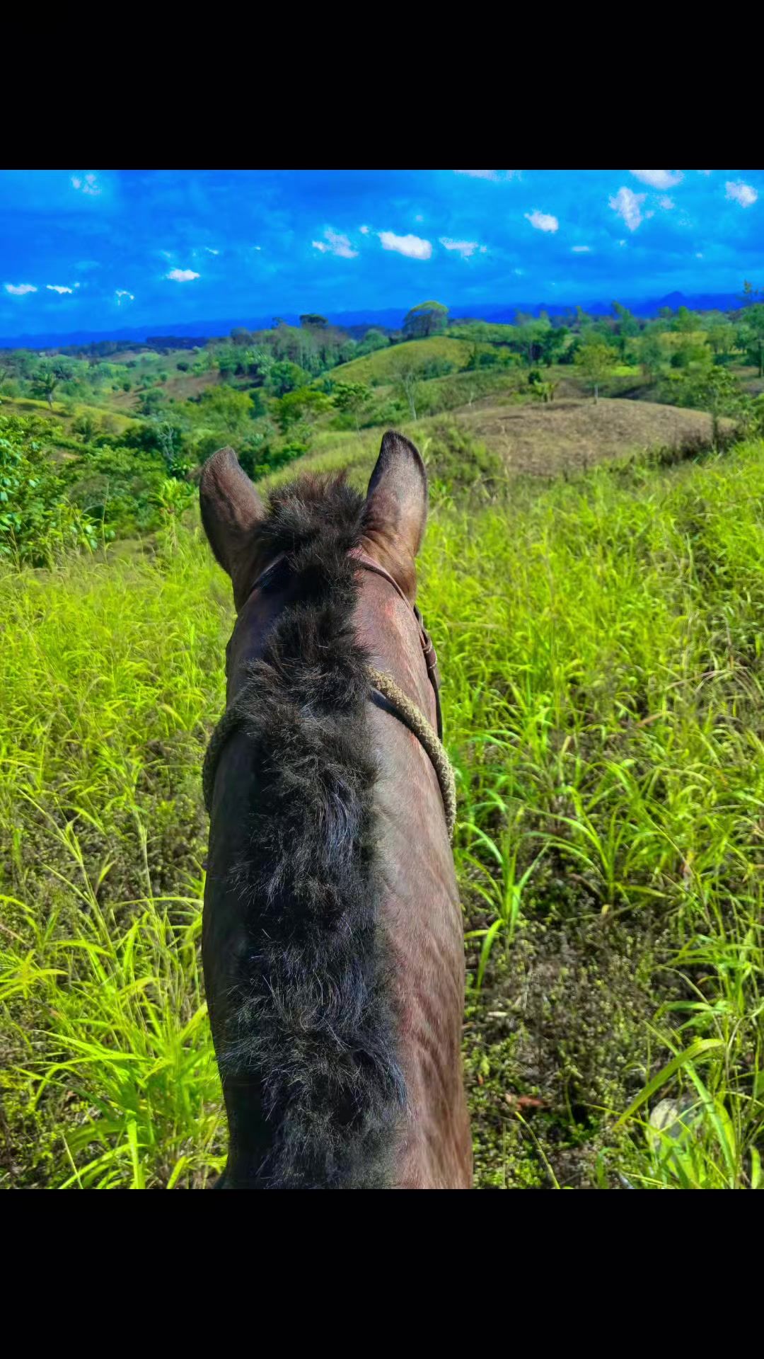 @𝓪𝓷𝓽𝓸𝓷𝓲𝓸 🤠