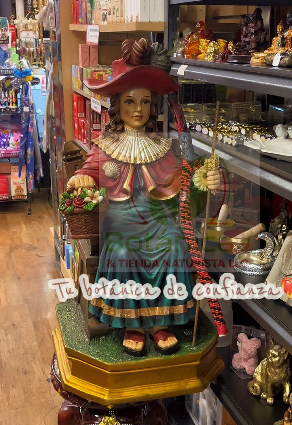 @Botánica & Tienda Naturista 🌿