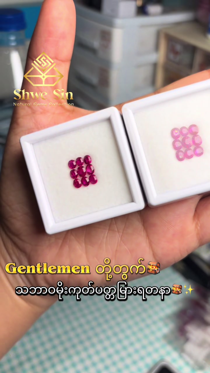 @ShweSin