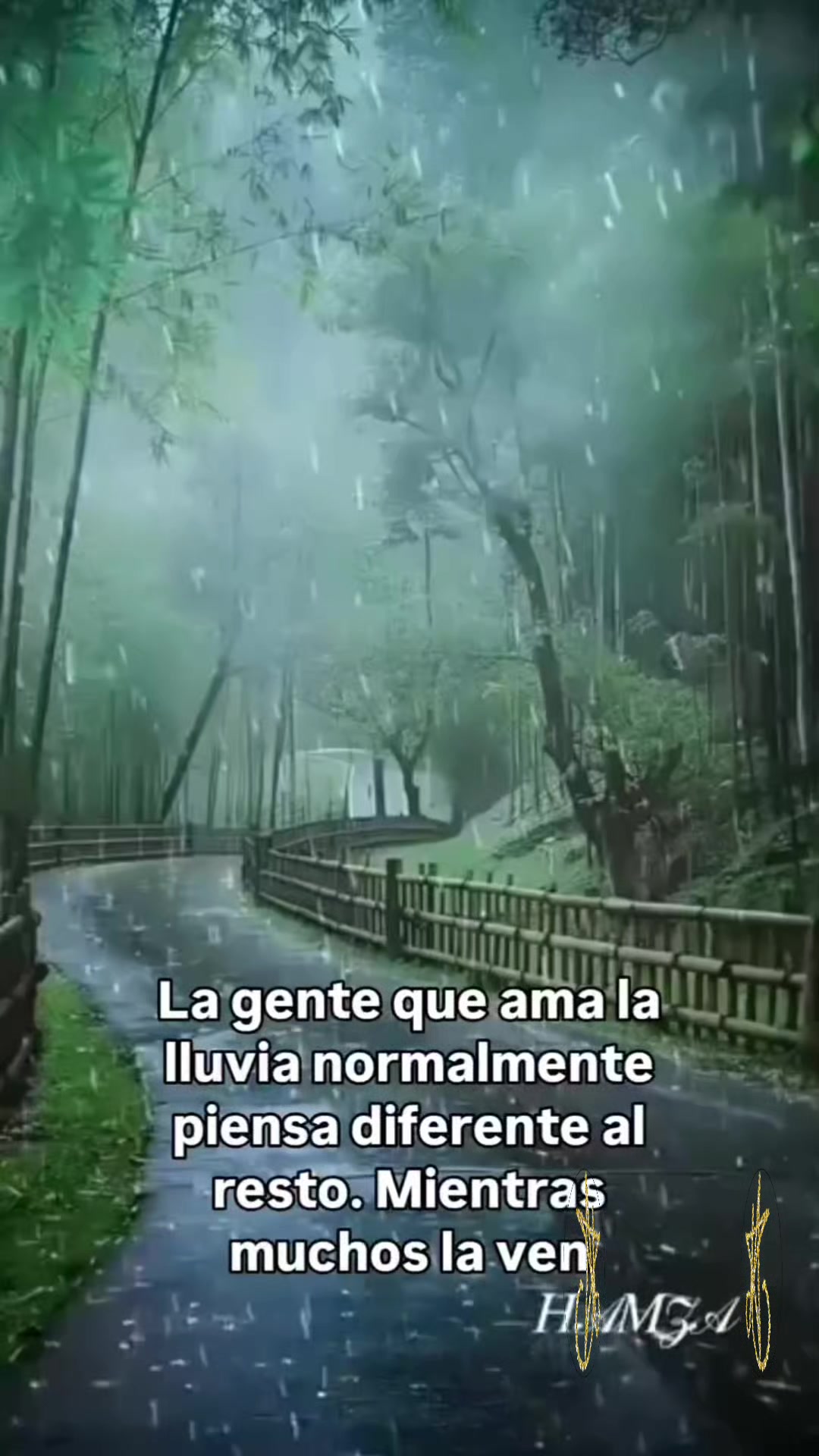 @Marlen Trigueros Ch