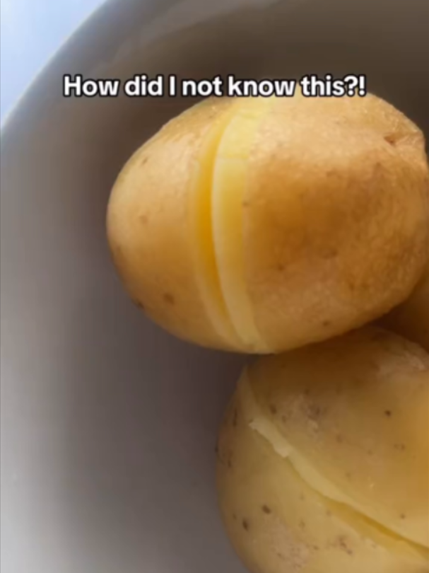 @VegKit