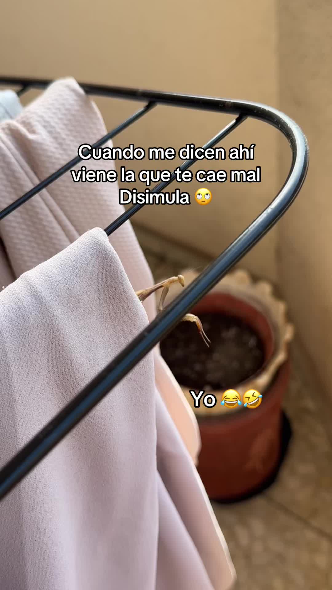 @flakita aly♋️🇪🇸🇬🇹