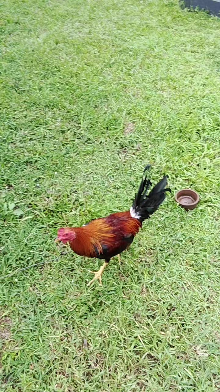 @Jhun Bolilan Borlasa
