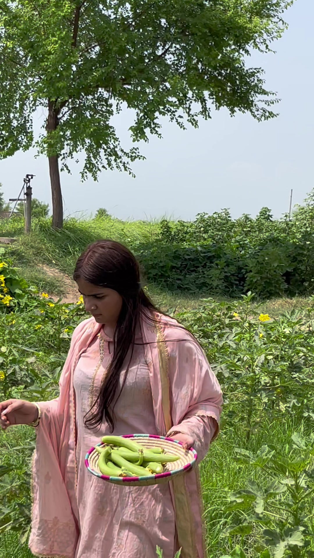 @❣️saraiki shehzadi❣️