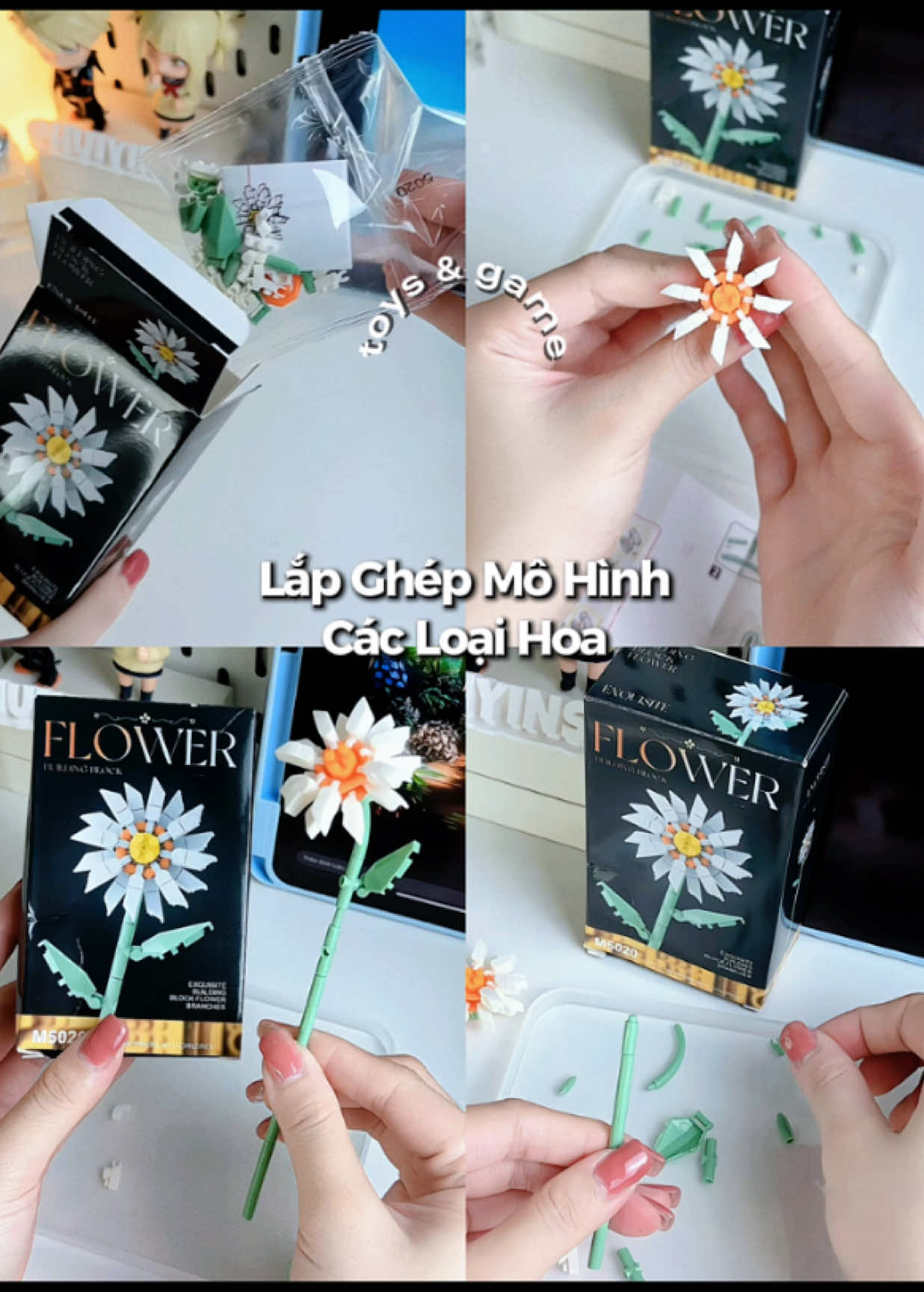 @٠࣪⭑ Hui Yin Chuột Bạch Ი︵𐑼