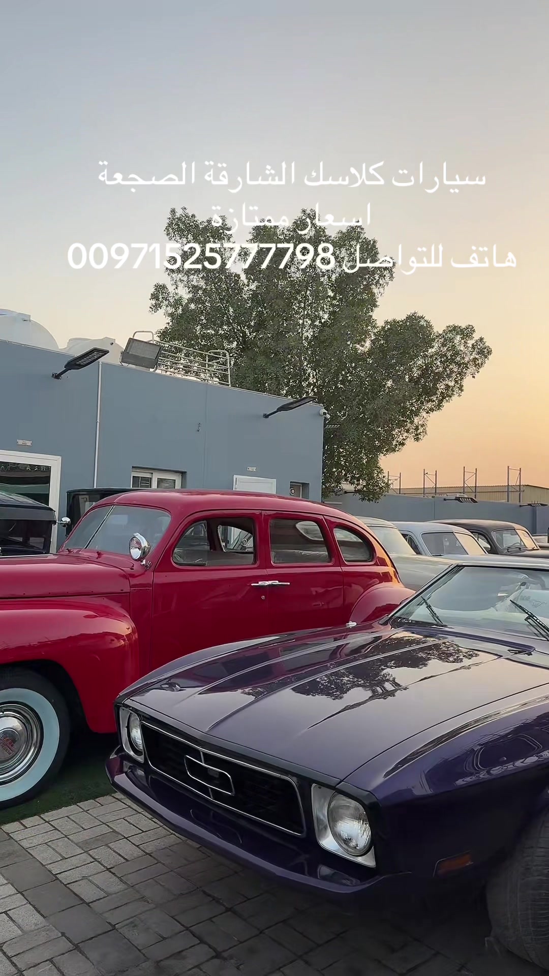 @العربة الذهبية للسيارات