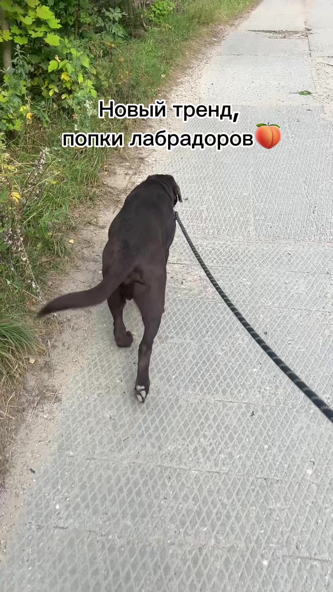 @❤️Оксана❤️