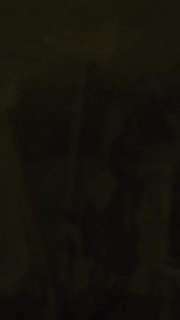 @𝕿𝖆𝖍𝖆👑