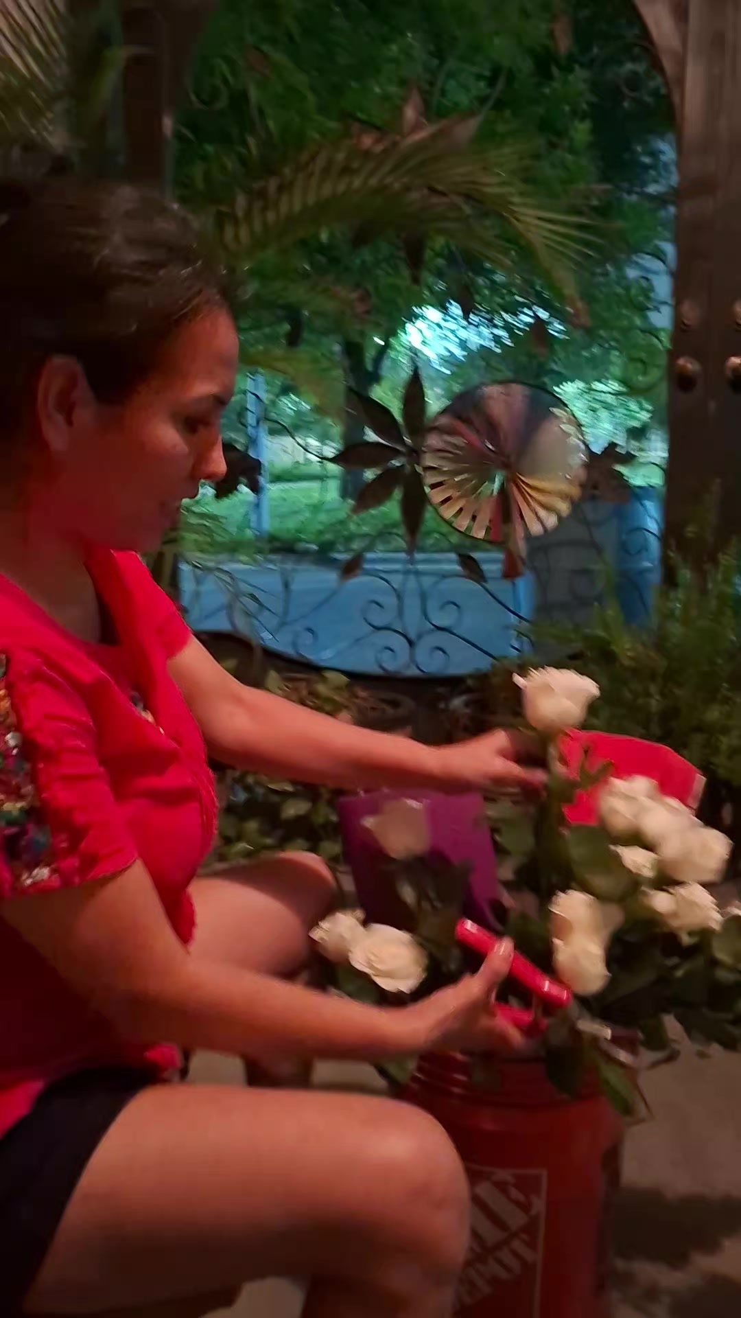 @Sandra castañeda