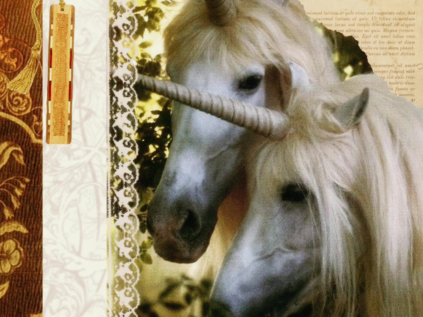 @⋆.˚ 𓇼