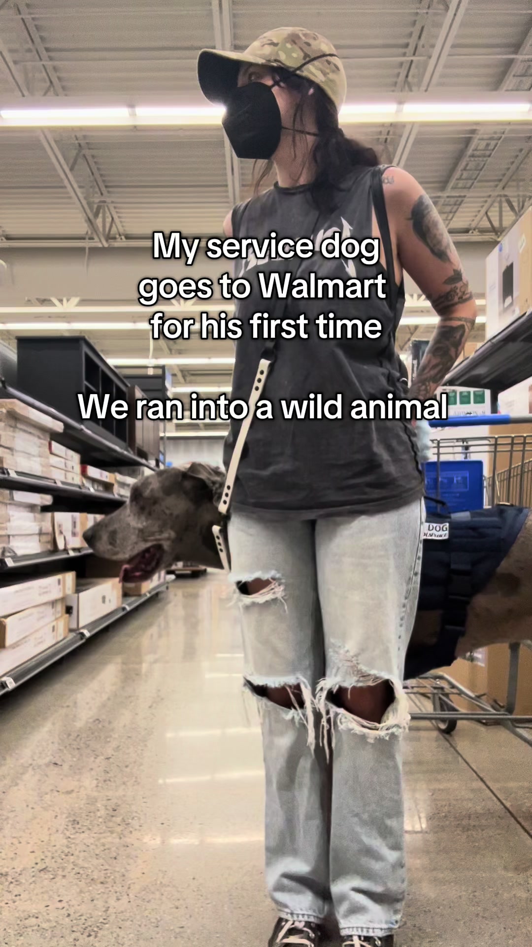 @lex 🐺⛓️