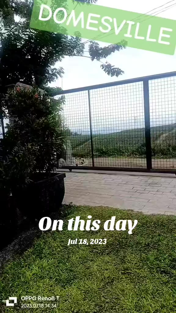 @exo_zoeysoo