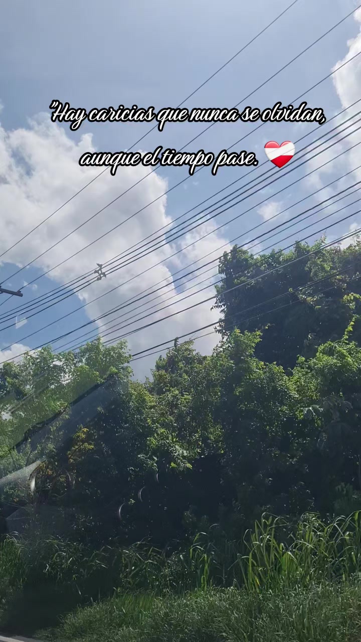 @𝓓𝓪𝓵𝓵𝔂'𝓼𝓛𝓡💥💫